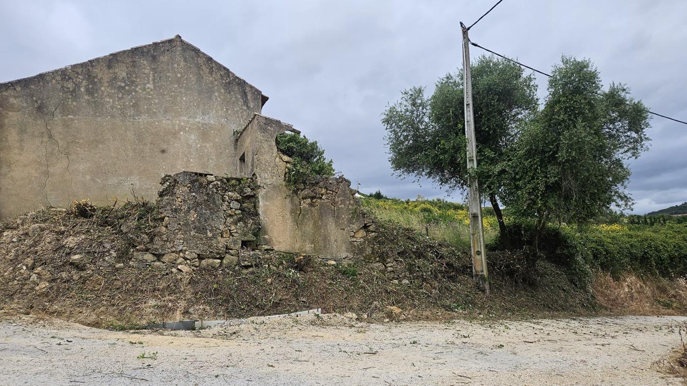 Le terrain débroussaillé en juin 2026