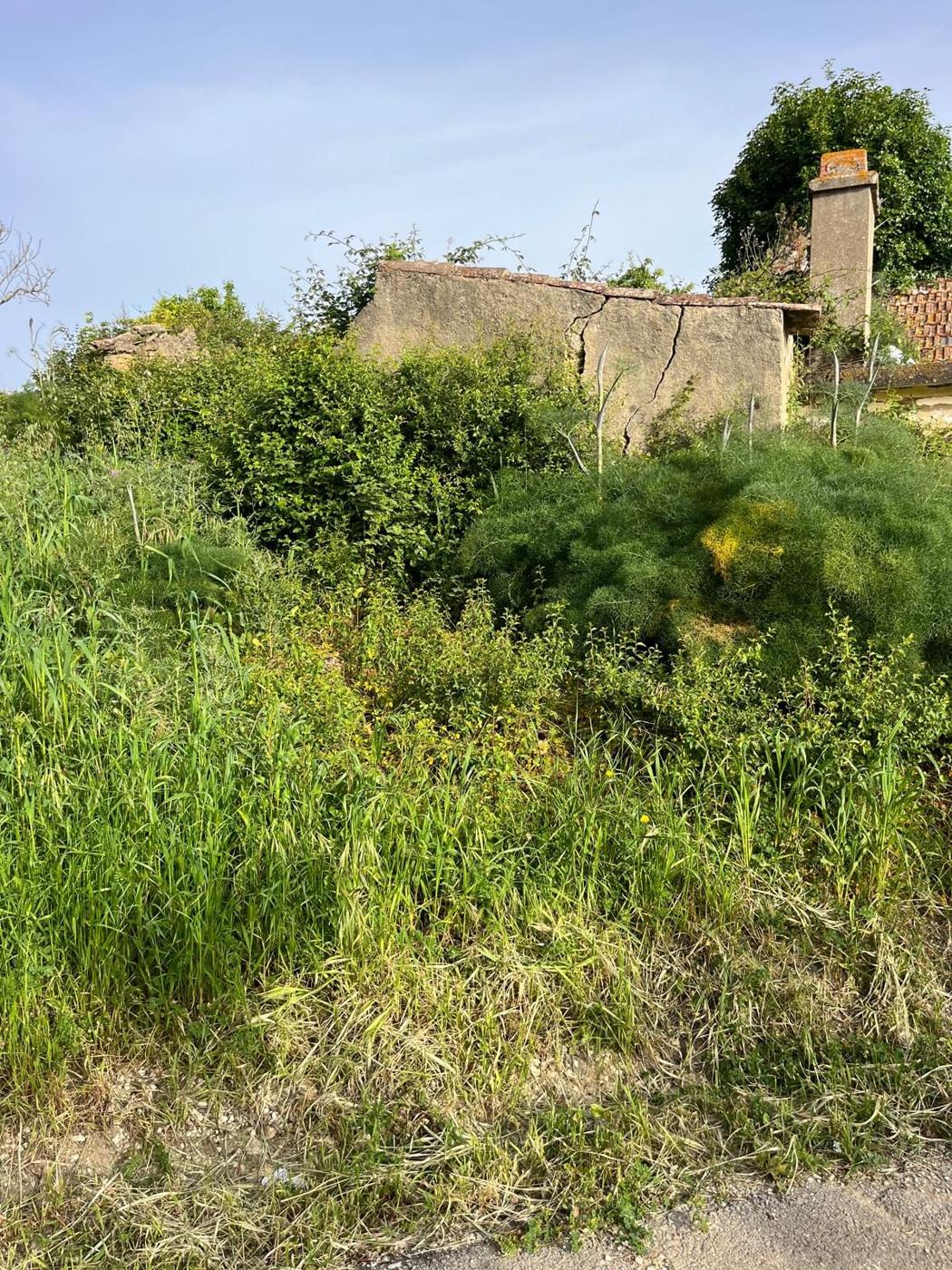 La ruine, futures suites